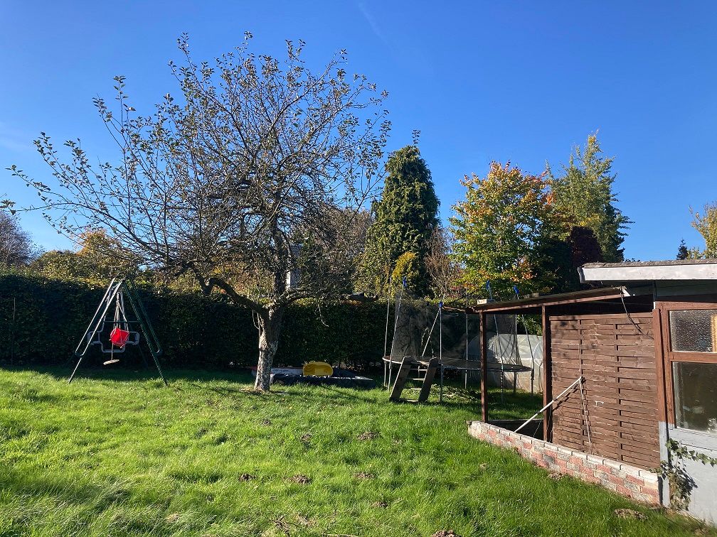 Gärtnern für den guten Zweck bei der grünen Oase 1.0