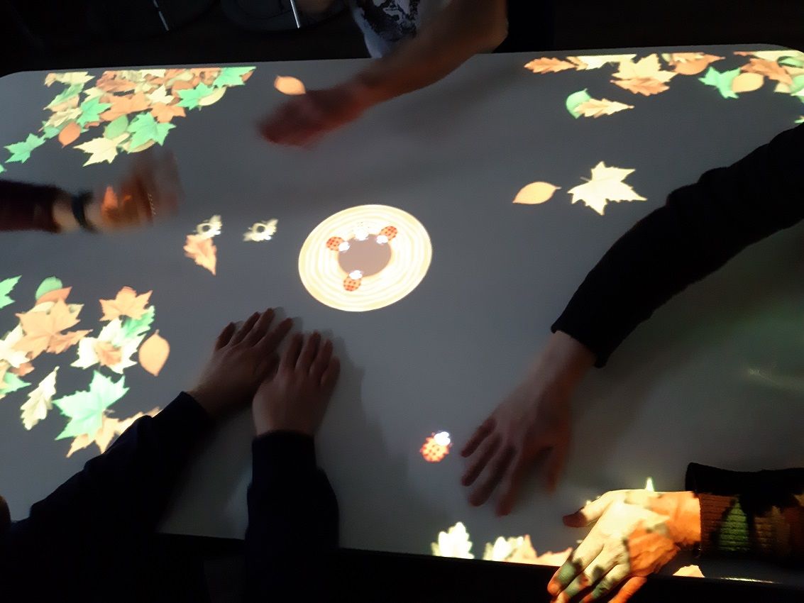 Marienkäfer suchen.jpg