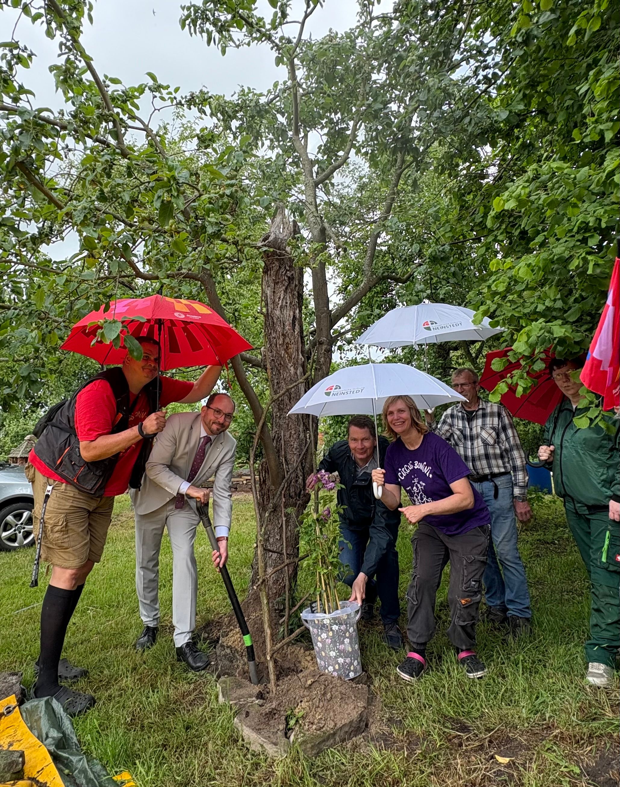 Pflanzen der Rose 03.jpg