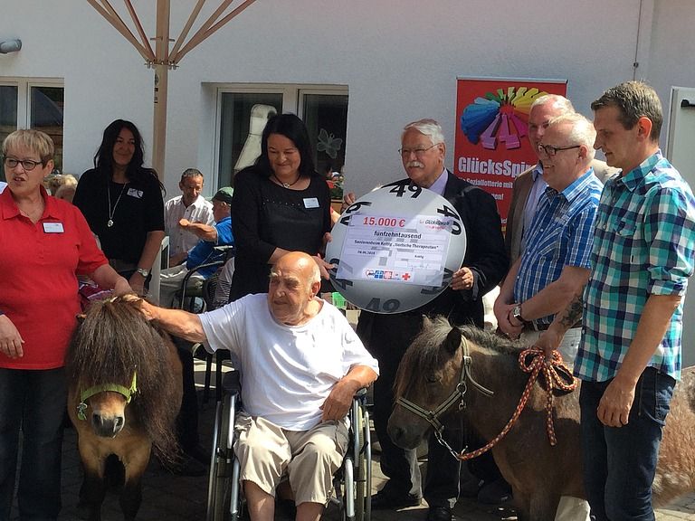 Aktivgarten mit Miniponys – Therapie-Oase für Seniorinnen und Senioren